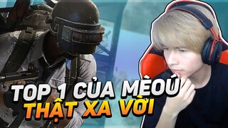 | DAILY STREAM | TOP 1 VỚI MÈO Ú LÀ QUÁ ... XA VỜI