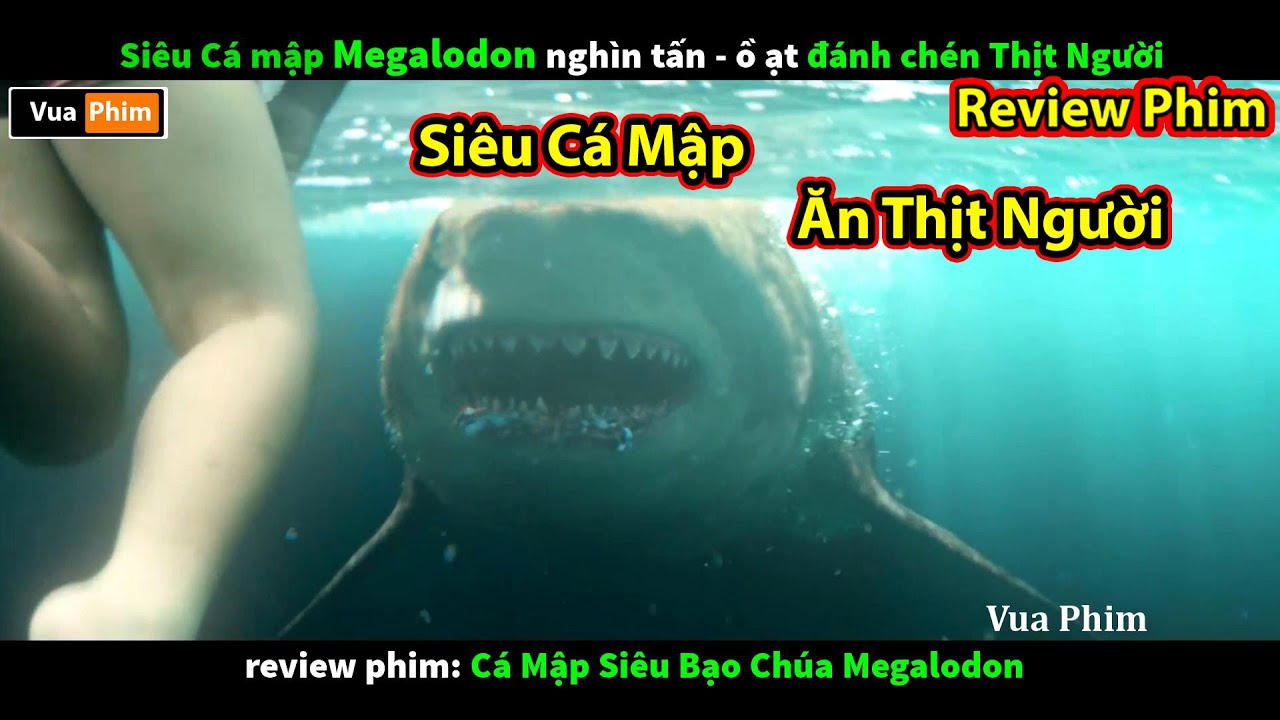 Siêu Cá Mập Megalodon Ăn Thịt Người - Review Phim Cá Mập Siêu Bạo Chúa -  Bilibili
