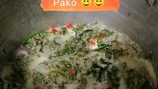 Ginataang Pako