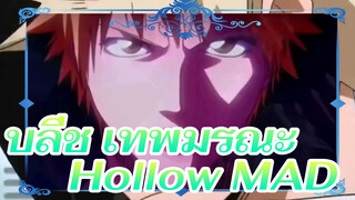 บลีช เทพมรณะ | Hollow MAD