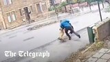 Man dragged into the road as he tries to fight off attacking dog