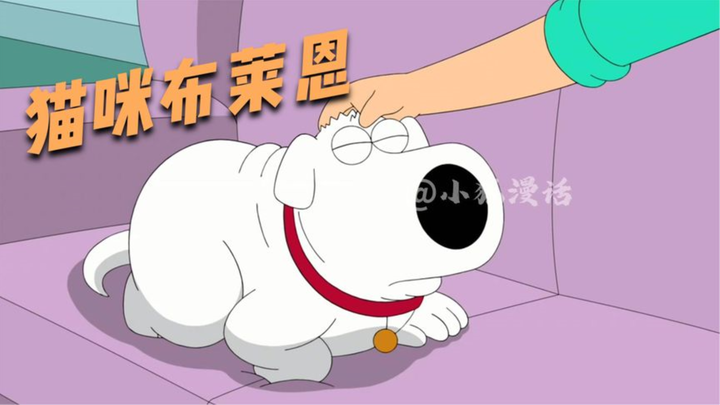 Family Guy: Brian actually has cat genes? Dumpling’s take on Brian Gene!