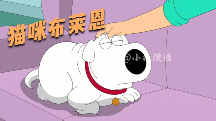 Family Guy: Brian มียีนแมวจริงเหรอ? Dumpling รับบท Brian Gene!