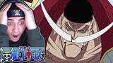 WHITEBEARD DON'T DIE! One Piece REACTION Episode 477, 478