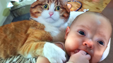 น่ารักที่สุด เด็กน้อยเล่นกับแมว โมเมนต์ Pew Baby