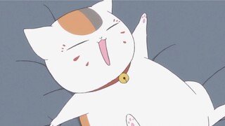 Natsume Yuujinchou Roku tidak, tidak