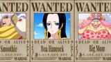 One Piece 10 Female Characters With The Highest Bounties