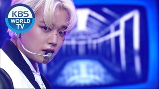 PARK JI HOON(박지훈) - GOTCHA (Music Bank) | KBS WORLD TV 201113