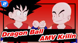 Dragon Ball / Hype / Memory | Krillin, I will give my life to avenge you_2