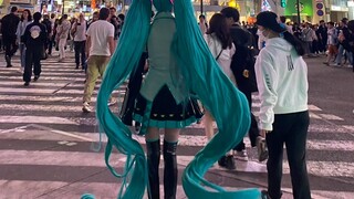 Tôi rất phấn khích và nhìn thấy Hatsune Miku trên đường phố Shibuya.