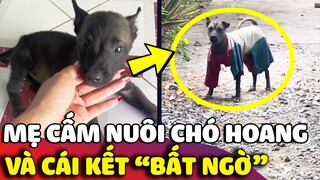 Gia đình nhất quyết KHÔNG CHO NUÔI bé chó hoang và CÁI KẾT bất ngờ 😅 | Gâu Đần