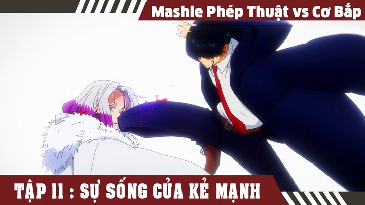 Review Mashle Phép Thuật Và Cơ Bắp Tập 11 , Mash Burnedead Bá Đạo Từng Hạt Gạo ,Tóm Tắt Mashle Mùa 1