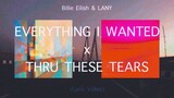 Billie Eilish x LANY - everything i wanted / Thru These Tears (MASHUP) [Lyrics]