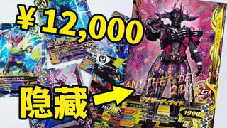 壕掷1万2！假面骑士街机卡RM04&RM05开封！Ganbarizing街机目标LR！隐藏是异类帝骑！ 部长直接脱非入欧【模玩杂货部】