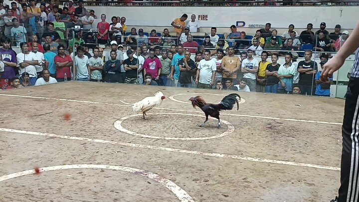 3rd fight win champion,( 3hits sanjuan cockpit)