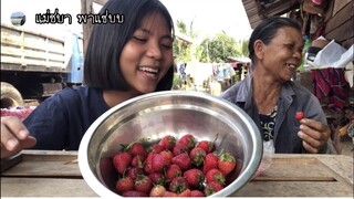 พี่เตยพายายมากินสตรอว์เบอร์รี่แซ่บๆจ้า | แม่ชบา พาแซ่บบ