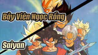 Ký ức / Bảy viên ngọc rồng / Saiyan