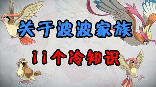 【宝可梦】11个关于『波波家族』的冷知识