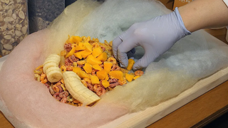 เบอร์ริโตขนมสายไหมผลไม้ - รถไฟ Gongneung / เบอร์ริโตขนมสายไหมผลไม้ - อาหารข้างทางเกาหลี