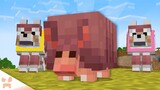 ARMADILLO OUT NOW In Minecraft 1.21! (new armor and more too)