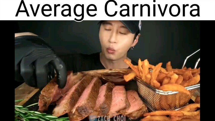 The average carnivora