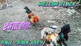 PAUL SPARK GREY VS MELSIM BLACK NG PINSAN.   SPAR!!