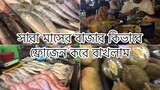 সারা মাসের বাজার কিভাবে ফ্রোজেন করে রাখলাম দুজনে মিলে ll Ms Bangladeshi Vlogs ll