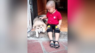 Bông nay tâm trạng rồi...cunyeucuadua yeucho yeuchomeo cún cúncon chó chómèo chócon chókhôn yeuchomeo chócute pet dog dogsoftiktok