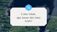 Ada Lawannya Sapi Nih...! ~ Kamus Indo: Kata, Rasa, & Haha