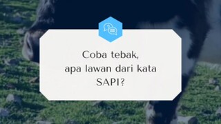 Ada Lawannya Sapi Nih...! ~ Kamus Indo: Kata, Rasa, & Haha