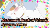 Natsume's Book of Friends|[Nyanco Sensei] The one run fast with heavy fat
