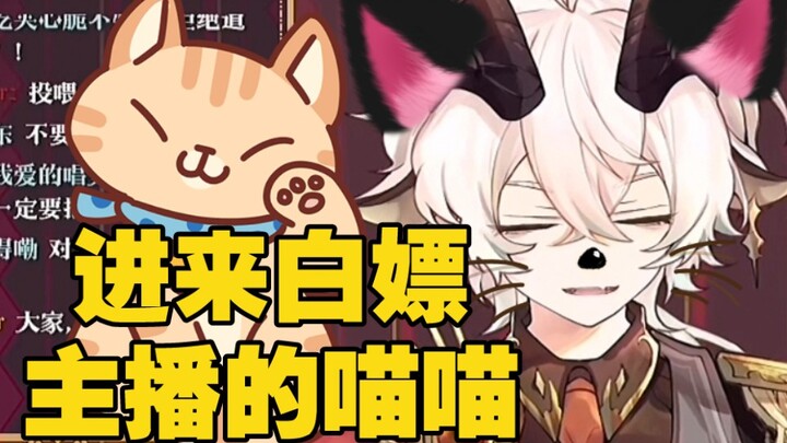 谁在直播间养了这么多猫猫啊！！【凛-阿格里亚斯】