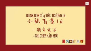 [VIETSUB] Trương Chân Nguyên-Blink box của Tiểu Trương 16