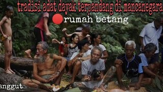 🔴kehidupan suku dayak terpopuler || rumah betang dan kehidupan didalamnya