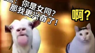 【猫猫meme】因为女同被选上做企业势虚拟主播了...