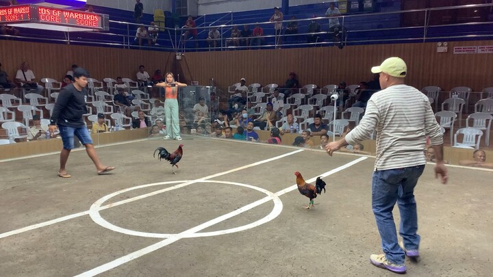 10 stag derby figba-bakbakan Semi finals. 5th fight win. DinkFair sweater