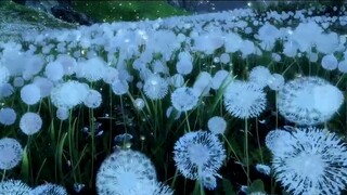 [Anime MAD.AMV]Cahaya Dalam Kehidupan