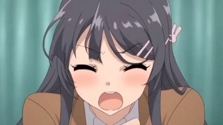 [Rascal Does Not Dream Of Bunny Girl Senpai] Mai Sakurajima