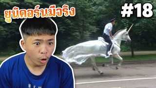 ตำรวจขี่ยูนิคอร์นจับโจร เป็นไปได้ไง555 - เกเรดูมีม #18