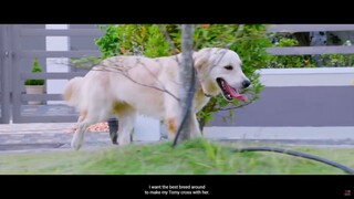 Valatty- Tale of Tails (വാലാട്ടി) - 2023 - Movie  English Subtitles