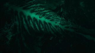 The Sea Beast 2022