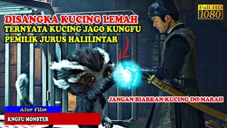 DISANGKA KUCING TERLEMAH! TERNYATA KUCING INI MASTER KUNGFU PEMILIK JURUS PETIR | Alur Cerita Film