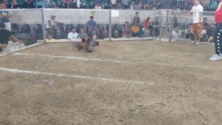 2hits frst fight win