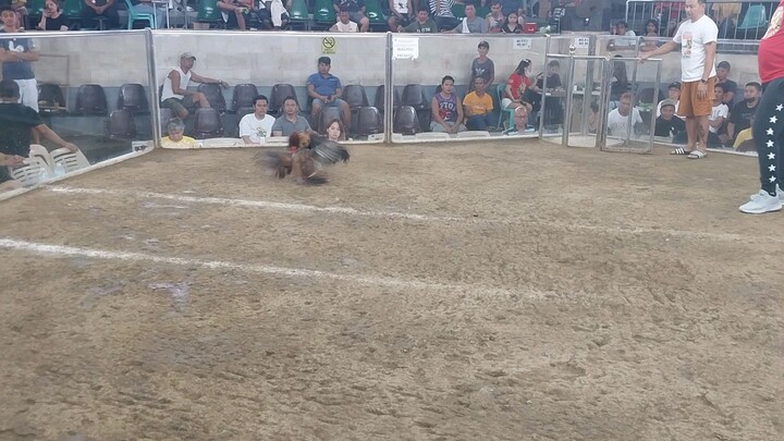2hits frst fight win