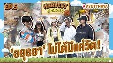 [OFFICIAL] THE HARVEST SEASON EP.5 @AYUTTHAYA