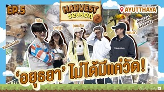 [OFFICIAL] THE HARVEST SEASON EP.5 @AYUTTHAYA