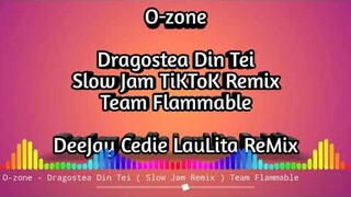 DRAGOSTEA DIN TEI ( SLOW JAM REMIX ) CEDIE LAULITA | VIRAL TIKTOK REMIX