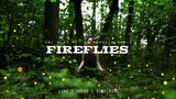 Fireflies - Owl City [ Funky Beats x Bass Remix ] Dj Ronzkie Remix | Philippines New TikTok Trends