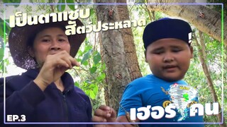 เฮอริเคน | ช่วงตกงาน | เมนูสัตว์ประหลาด | เป็นตาแซ่บ EP.3