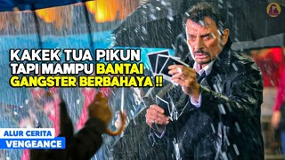 Pria Tua ini Menyewa 3 Pembunuh Bayaran Profesional Untuk Balas Dendam! alur cerita film